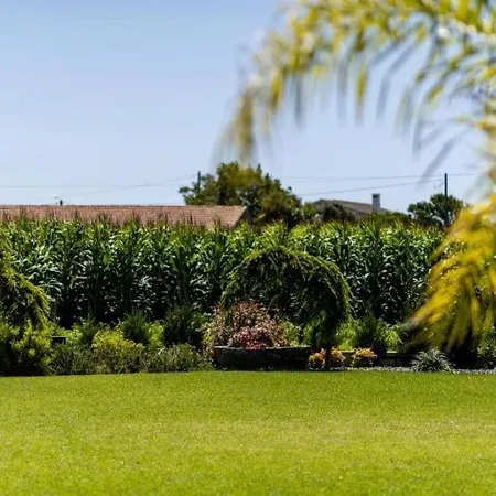 Celeiro Do Carvalho * Estela