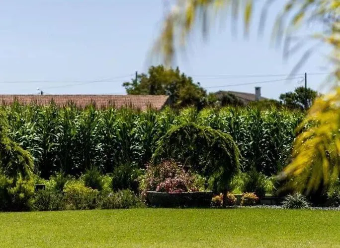 Celeiro Do Carvalho * Estela